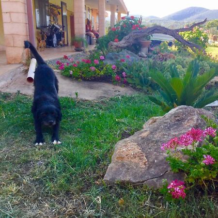 Agriturismo Sogno Latino Iglesias Ngoại thất bức ảnh