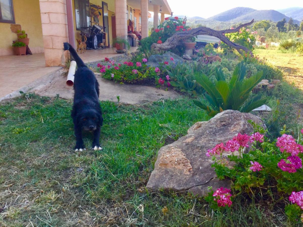 Agriturismo Sogno Latino Iglesias Ngoại thất bức ảnh