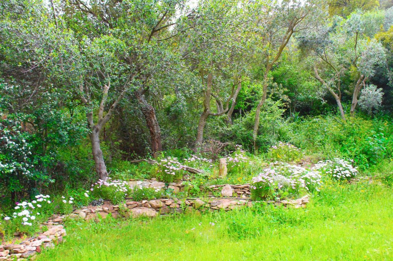 Agriturismo Sogno Latino Iglesias Ngoại thất bức ảnh